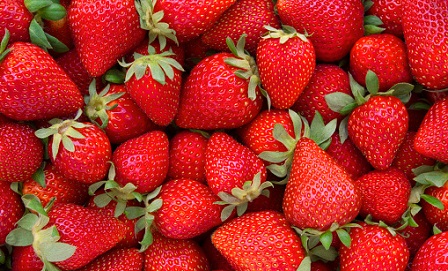 jagode 1