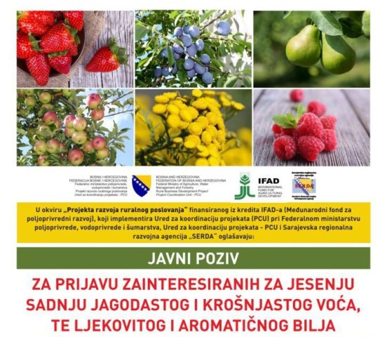 javni poziv ifad