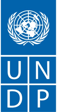 logo UNDP