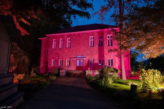 ružičasti oktobar 2025